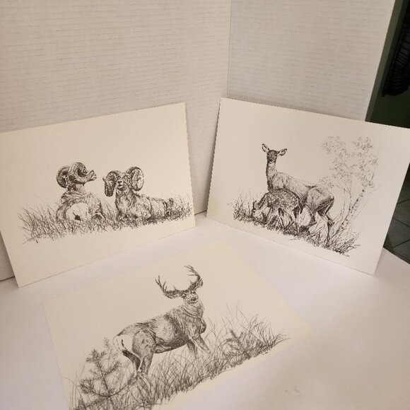 Vint.WESTERN WILDLIFE PORTFOLIO 12 WESTERN WILDLIFE PRINTS B JAMES JOKERST 1983 - Picture 5 of 8